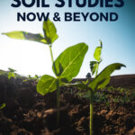 SOIL STUDIES: Now & Beyond