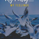 My Poetry....my feelings