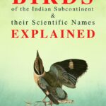 Birds of the Indian Subcontinent & their Scientific Names Explained