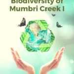 Biodiversity of Mumbri Creek I