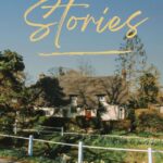 Three and Half Stories