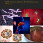 Bacteriological: Profile of Various Chronic Otorhinolaryngology Infections