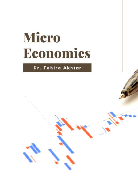 Micro Economics