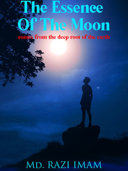 The Essence Of The Moon