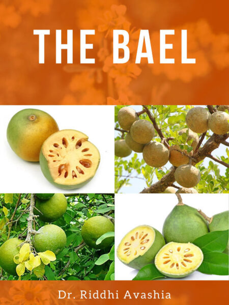 The Bael