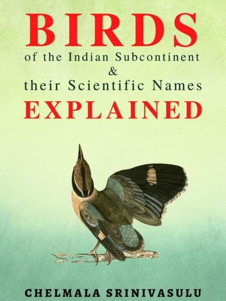 Birds of the Indian Subcontinent & their Scientific Names Explained