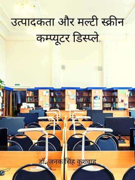 Productivity and Multi-Screen Computer Display