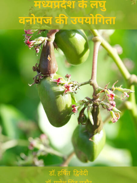 Madhya Pradesh ke Laghu Vanopaj ki Upyogita