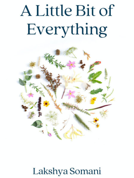 A Little Bit of Everything