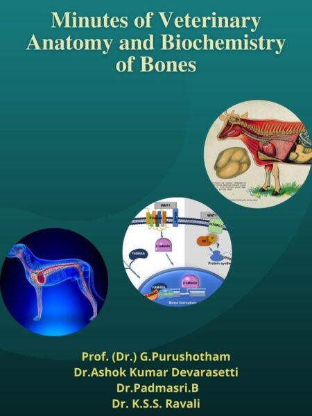 Minutes of Veterinary Anatomy and Biochemistry of Bones