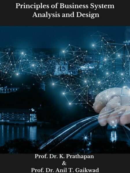 Principles of Business System Analysis and Design