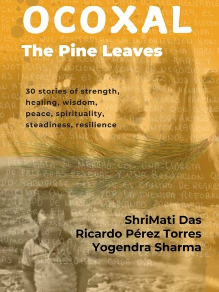 Ocoxal : The Pine Leaves