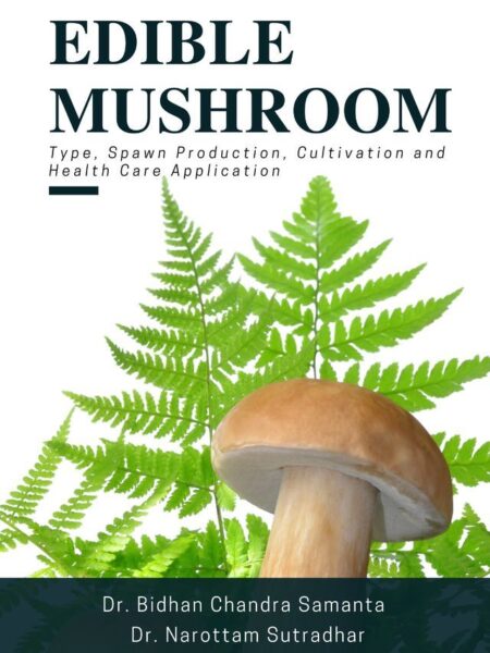 Edible Mushroom: Type, Spawn Production, Cultivation and Health Care Application