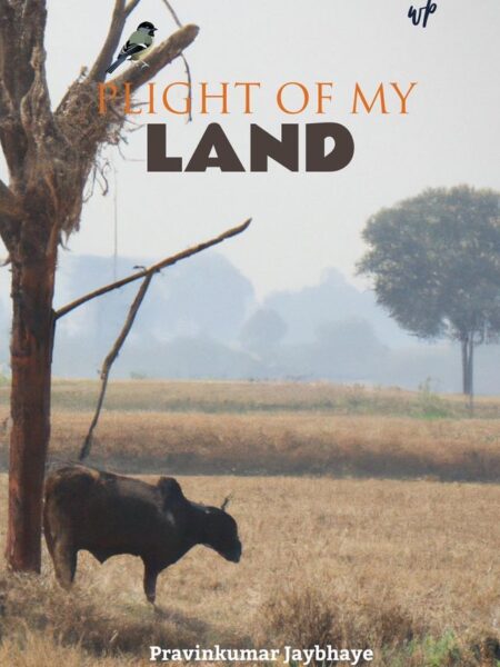 Plight of My Land