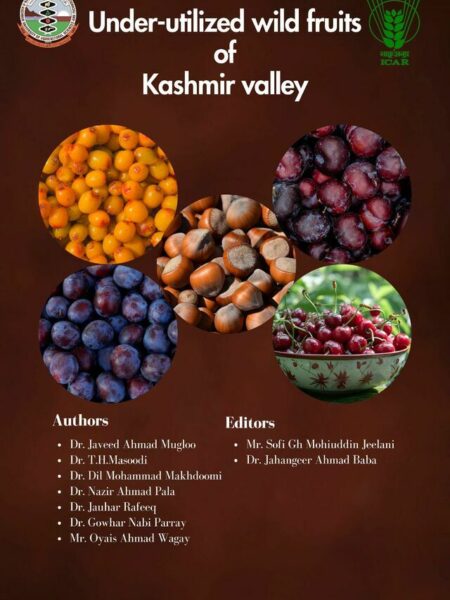 Under Utilized Fruits of Kashmir Valley