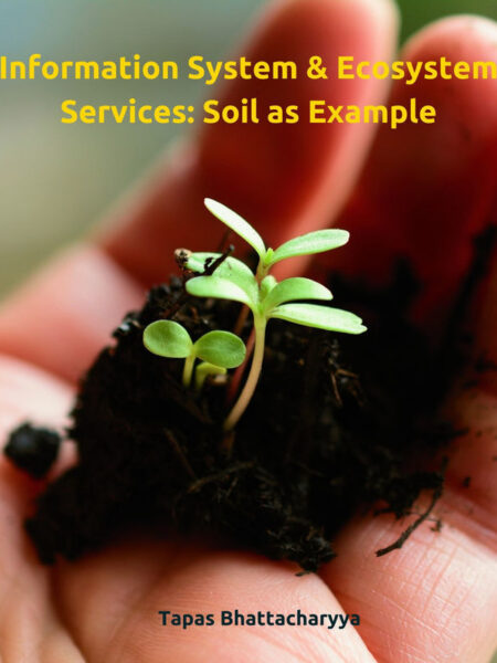 Information System & Ecosystem Services: Soil as Example