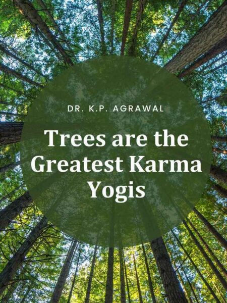 Trees are the Greatest Karma Yogis