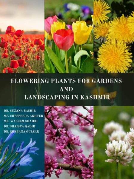 Flowering plants for gardens and landscaping in Kashmir