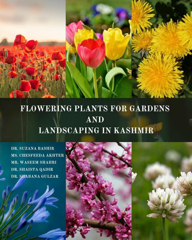 Flowering plants for gardens and landscaping in Kashmir
